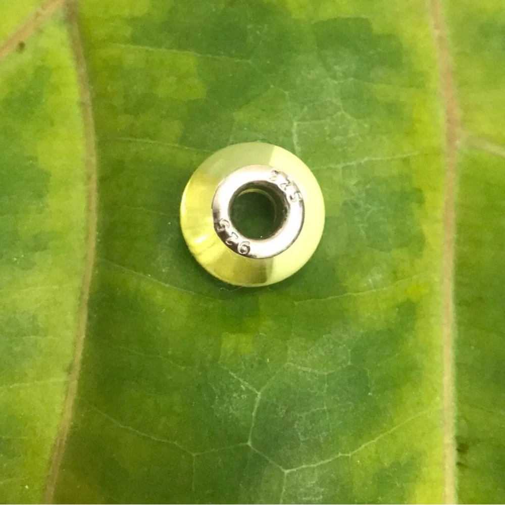 .925 sterling silver‎ Charm